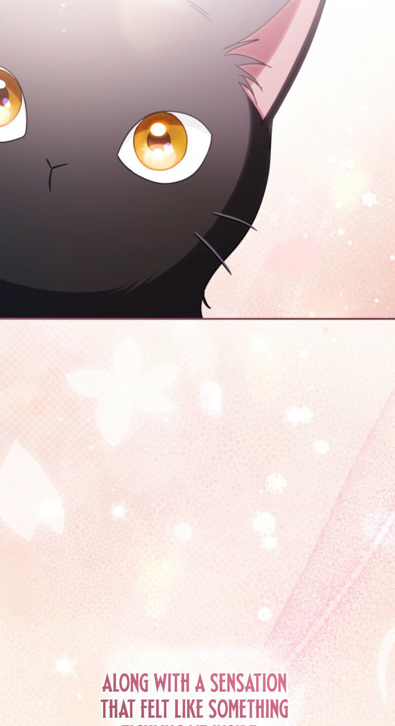 The Search for the Duchess's Husband Chapter 14 page 50 - 