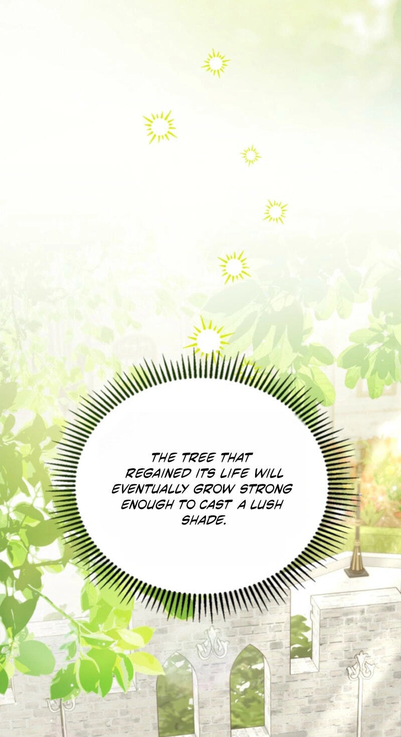 The Search for the Duchess's Husband Chapter 15 page 62 - 