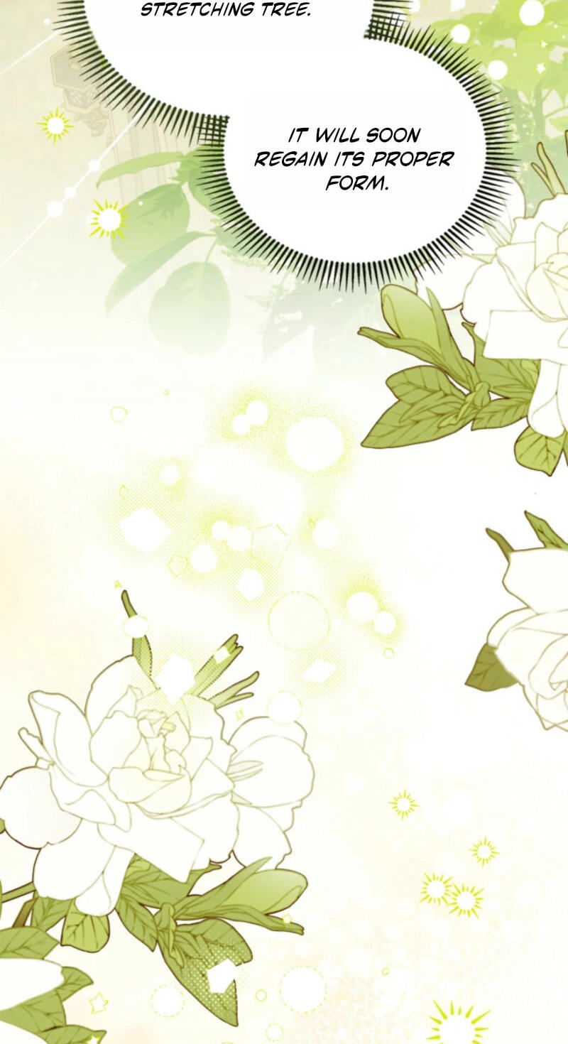 The Search for the Duchess's Husband Chapter 15 page 64 - 