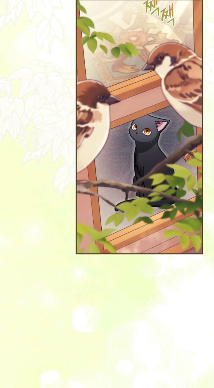 The Search for the Duchess's Husband Chapter 16 page 81 - 