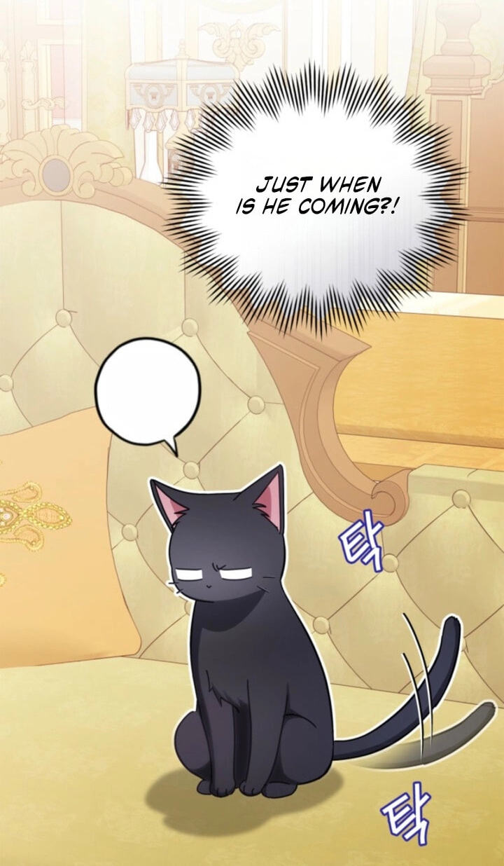 The Search for the Duchess's Husband Chapter 16 page 85 - 