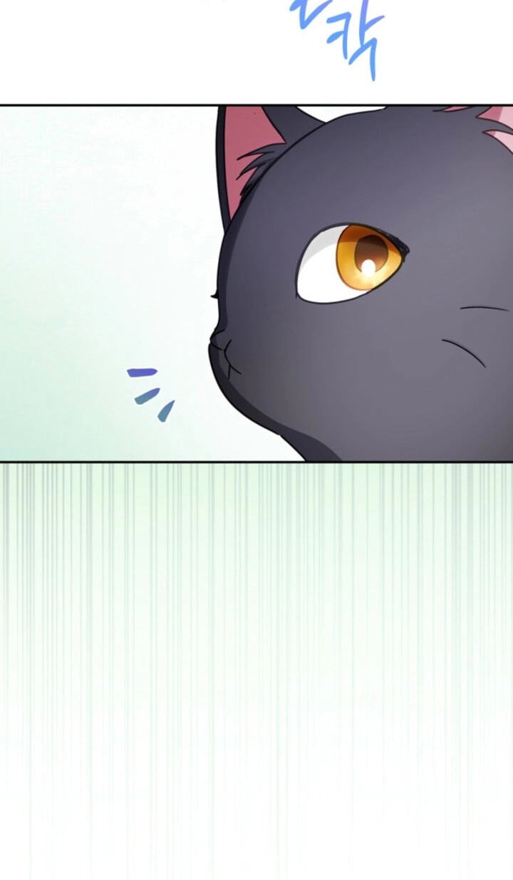 The Search for the Duchess's Husband Chapter 16 page 87 - 