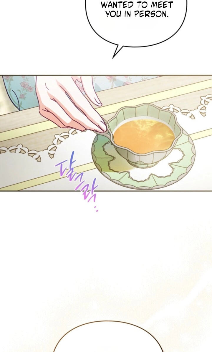 The Search for the Duchess's Husband Chapter 16 page 10 - 