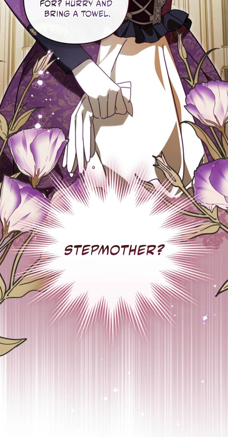The Search for the Duchess's Husband Chapter 17 page 11 - 
