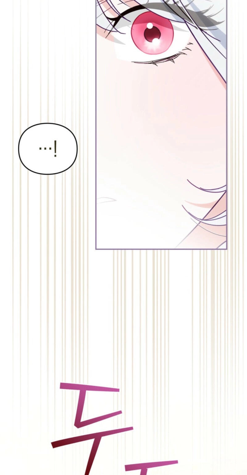 The Search for the Duchess's Husband Chapter 17 page 9 - 