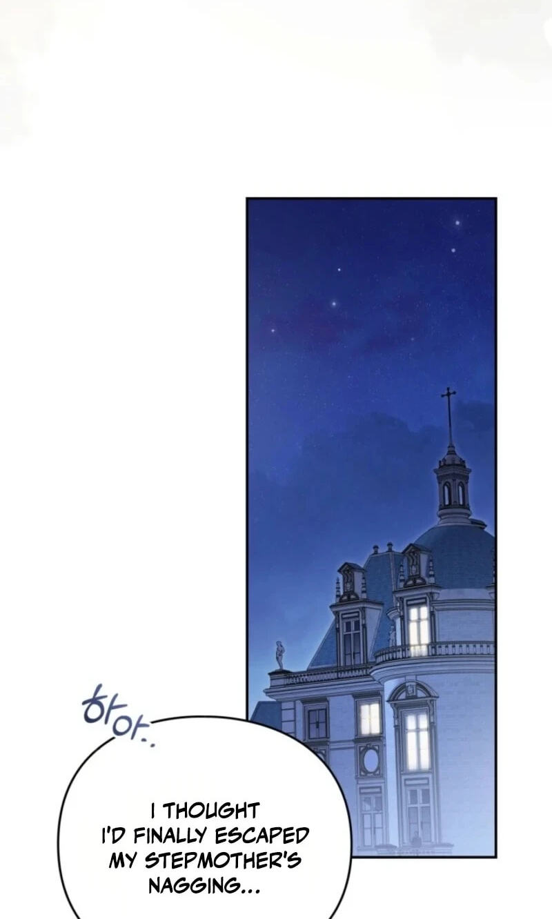 The Search for the Duchess's Husband Chapter 20 page 72 - 