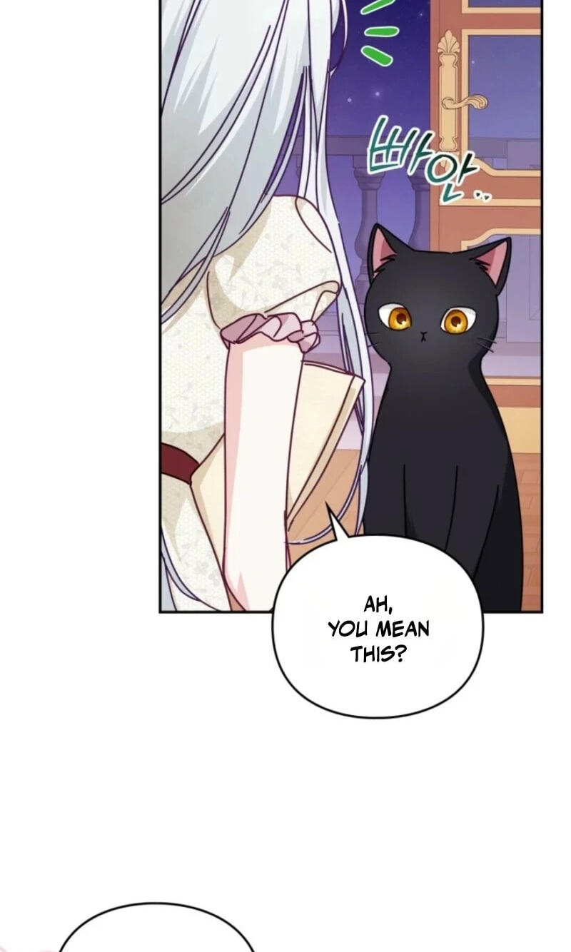 The Search for the Duchess's Husband Chapter 20 page 80 - 