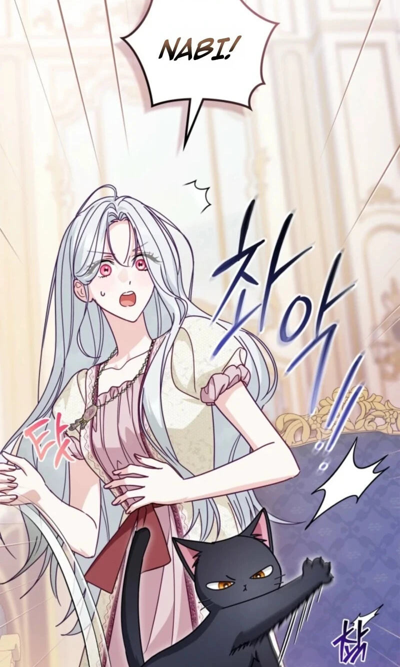 The Search for the Duchess's Husband Chapter 20 page 89 - 