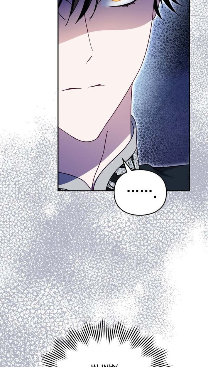 The Search for the Duchess's Husband Chapter 22 page 67 - 