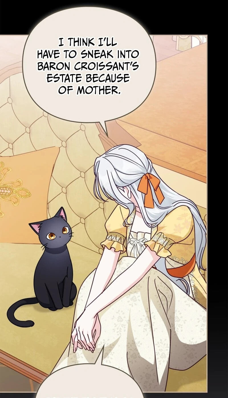 The Search for the Duchess's Husband Chapter 23 page 47 - 