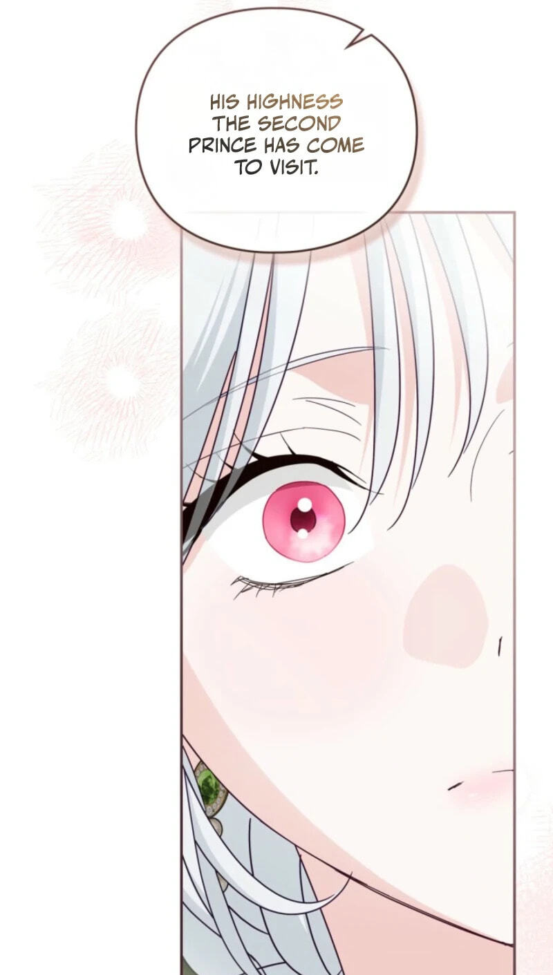 The Search for the Duchess's Husband Chapter 26 page 71 - 