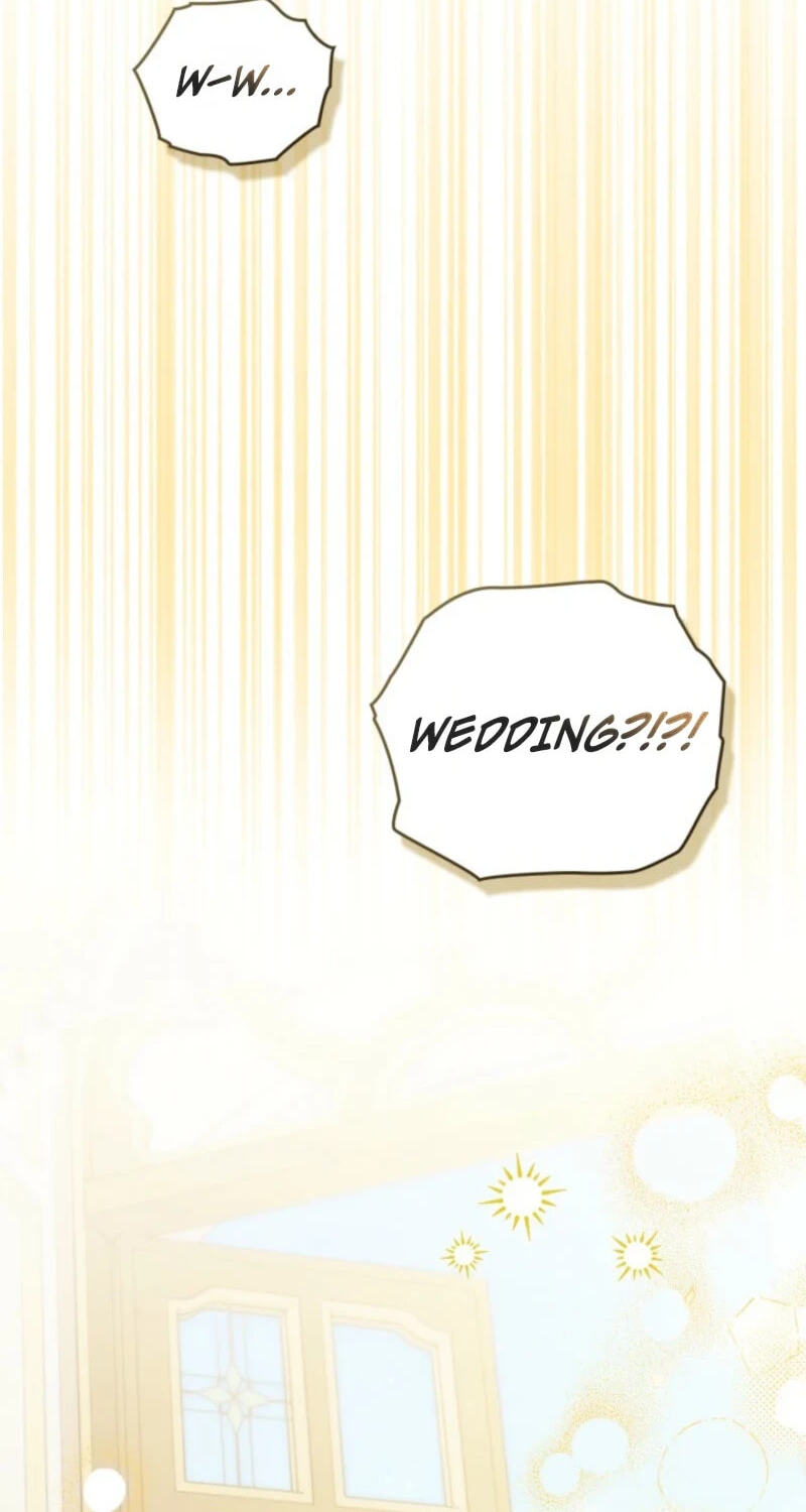 The Search for the Duchess's Husband Chapter 28 page 102 - 