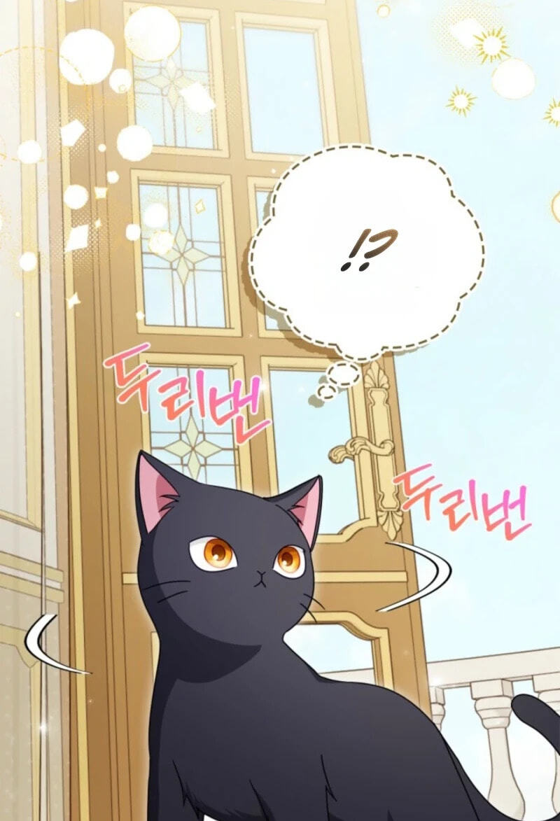 The Search for the Duchess's Husband Chapter 28 page 103 - 