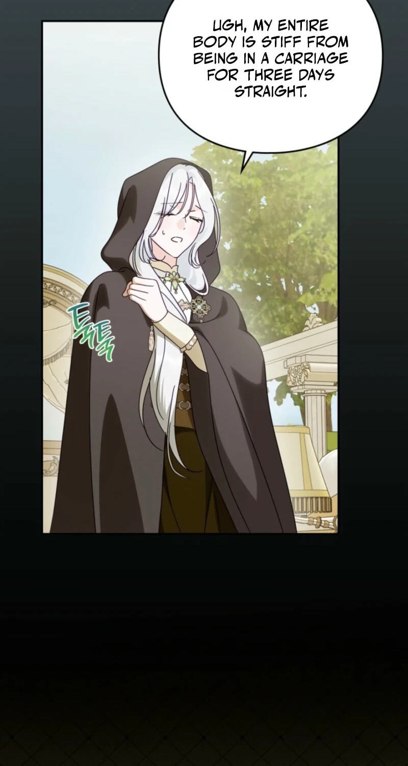 The Search for the Duchess's Husband Chapter 28 page 22 - 