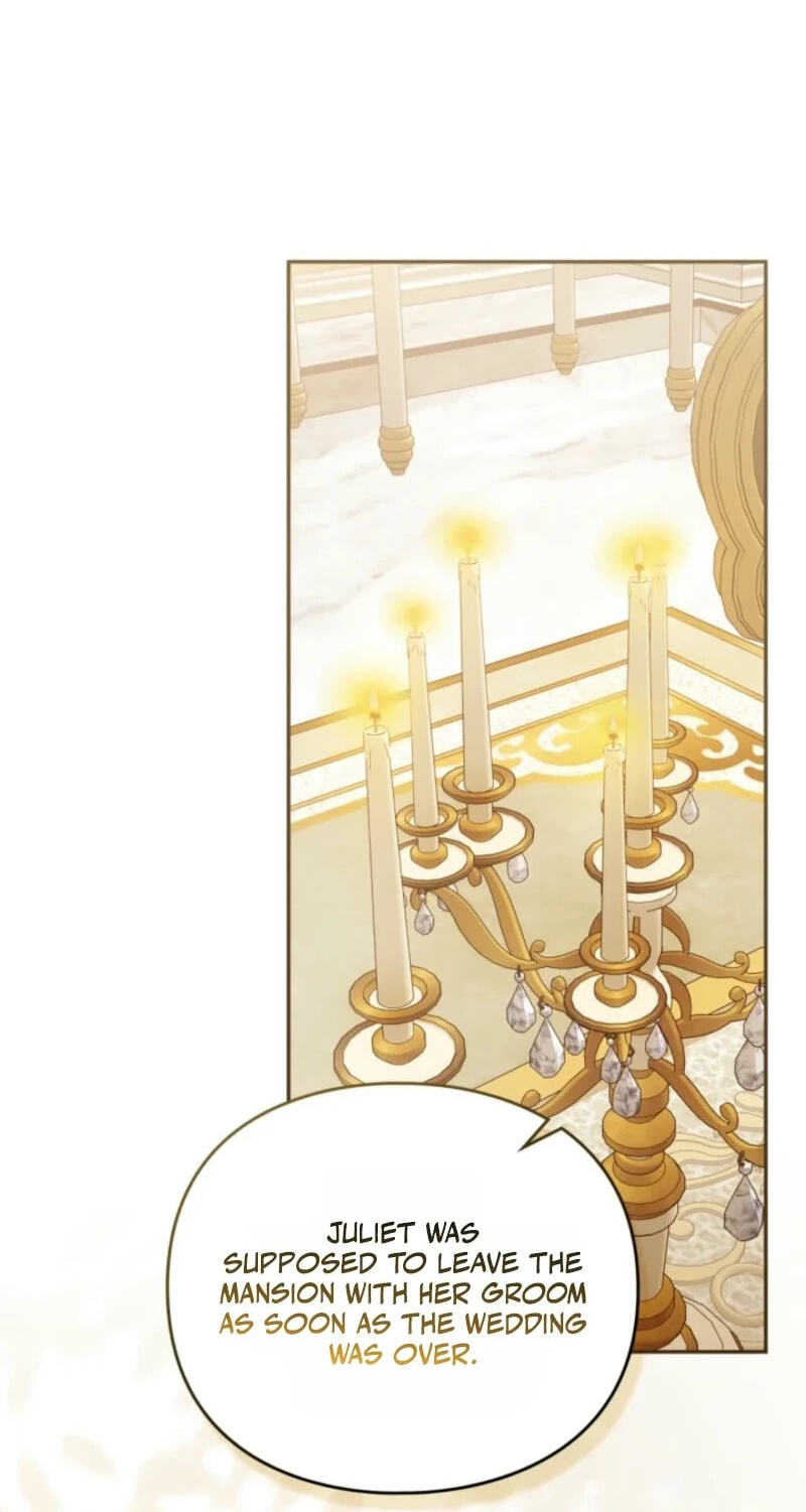 The Search for the Duchess's Husband Chapter 29 page 27 - 