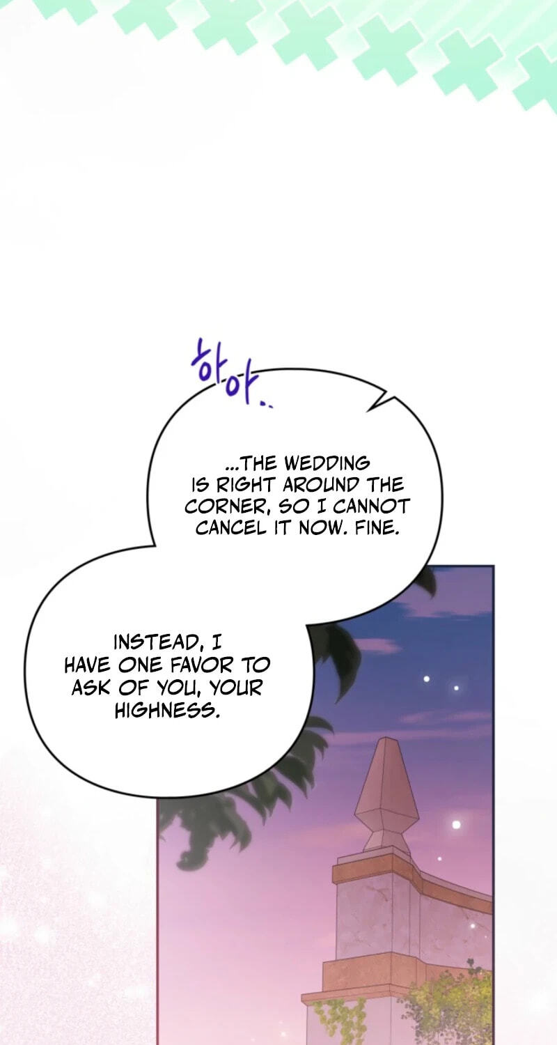 The Search for the Duchess's Husband Chapter 30 page 29 - 