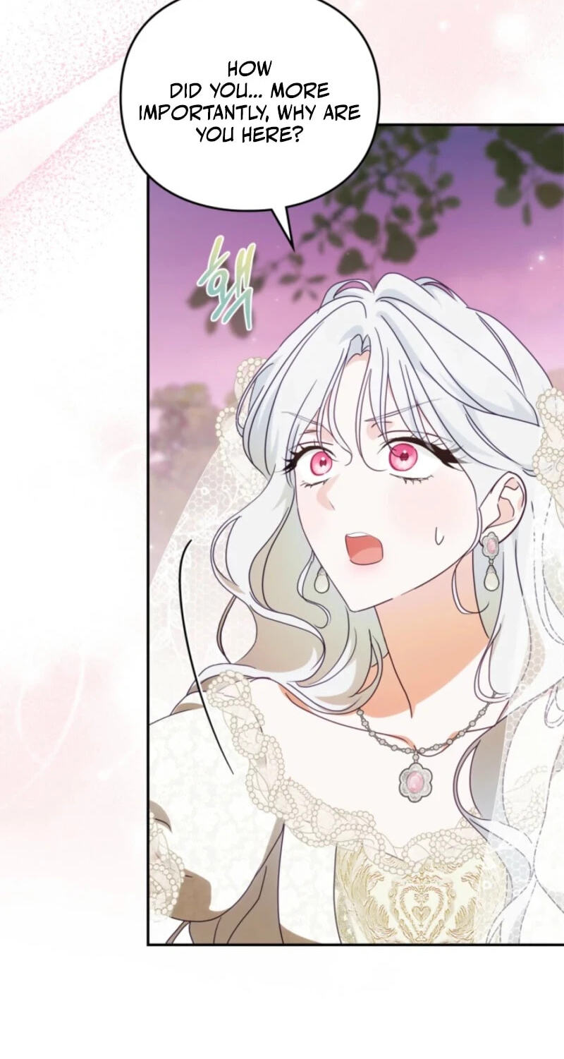The Search for the Duchess's Husband Chapter 30 page 8 - 
