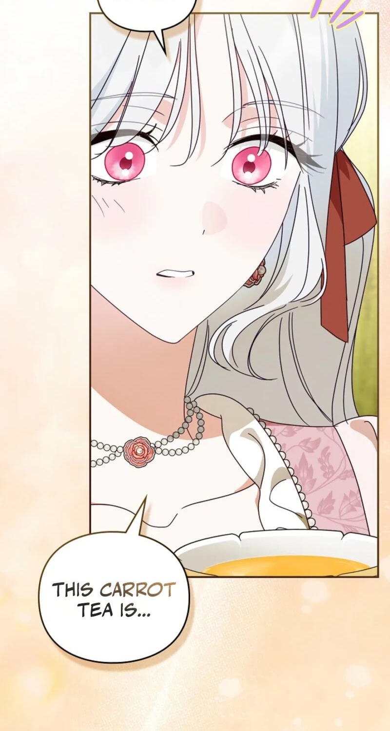 The Search for the Duchess's Husband Chapter 32 page 72 - 