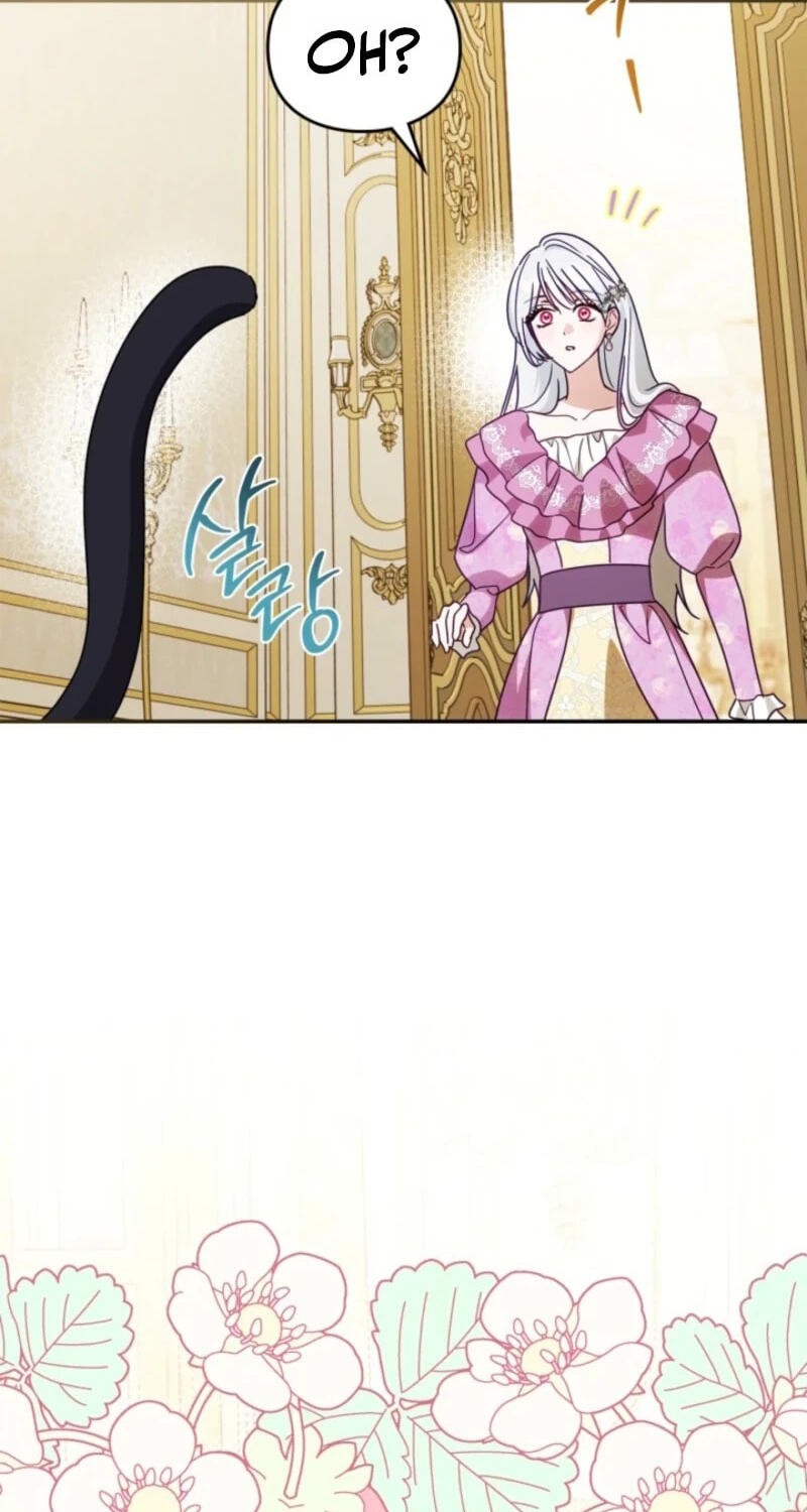 The Search for the Duchess's Husband Chapter 33 page 72 - 