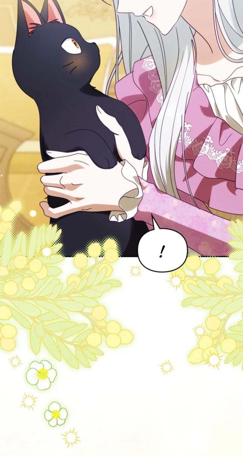 The Search for the Duchess's Husband Chapter 33 page 78 - 