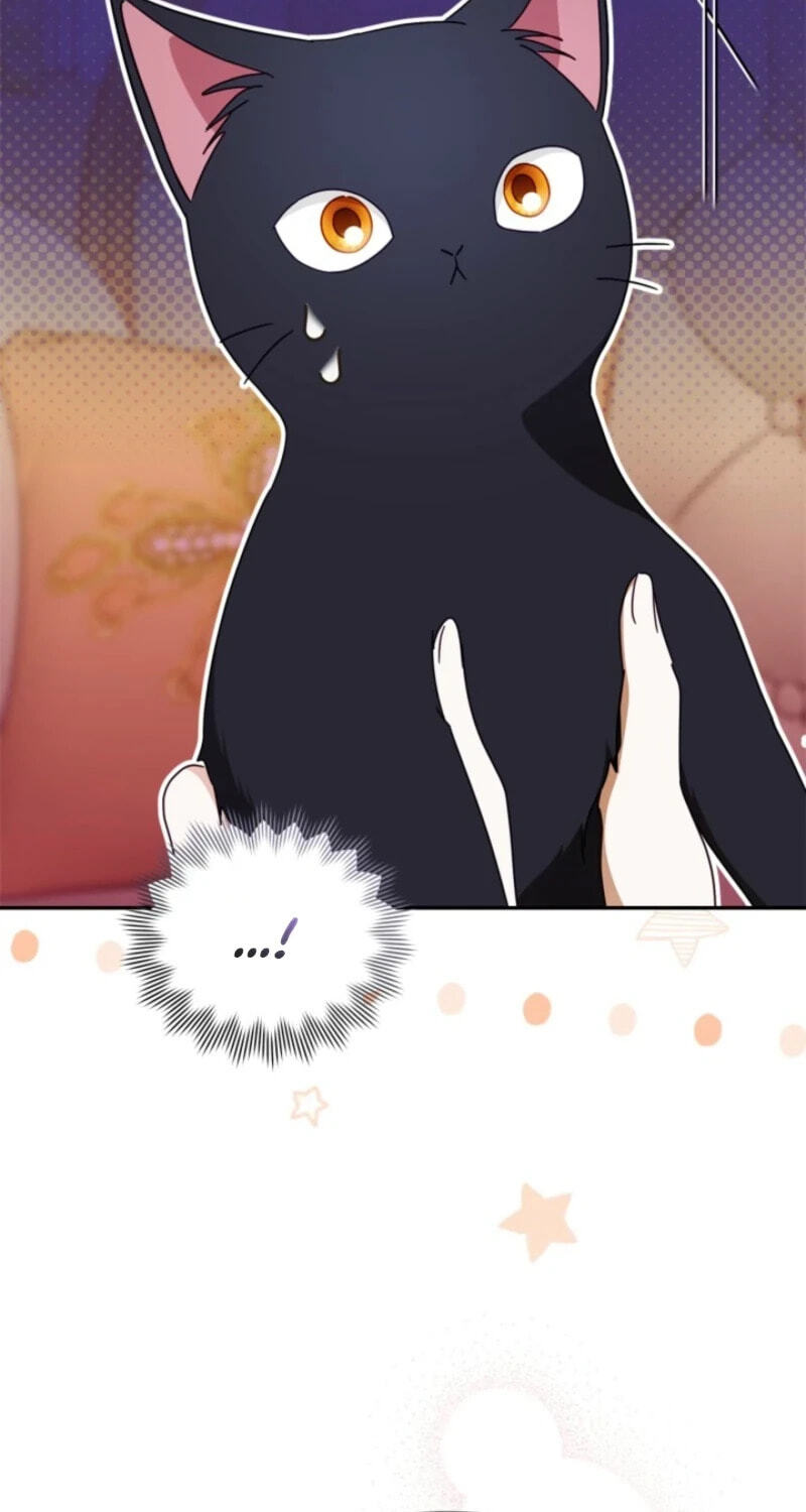 The Search for the Duchess's Husband Chapter 33 page 81 - 