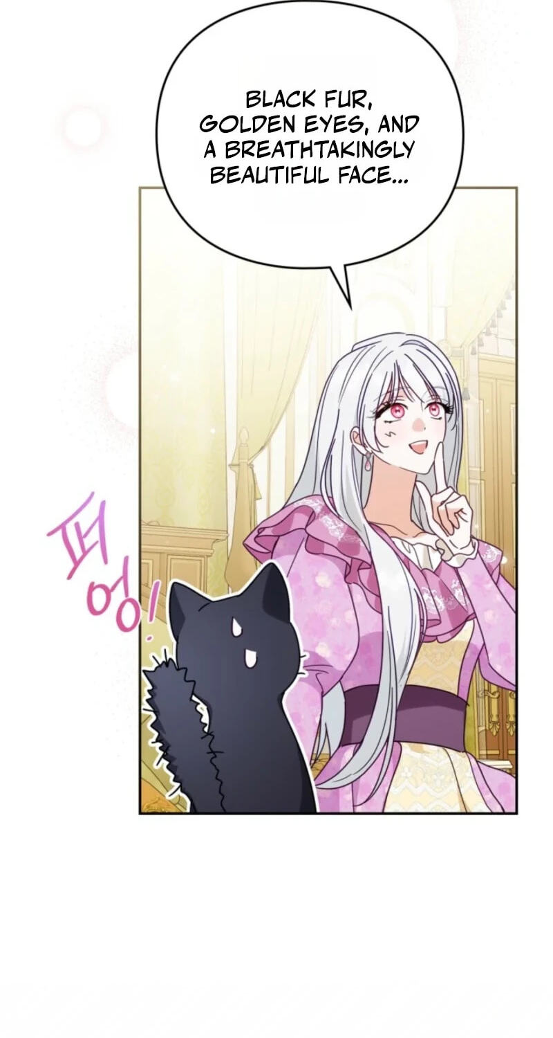 The Search for the Duchess's Husband Chapter 33 page 82 - 