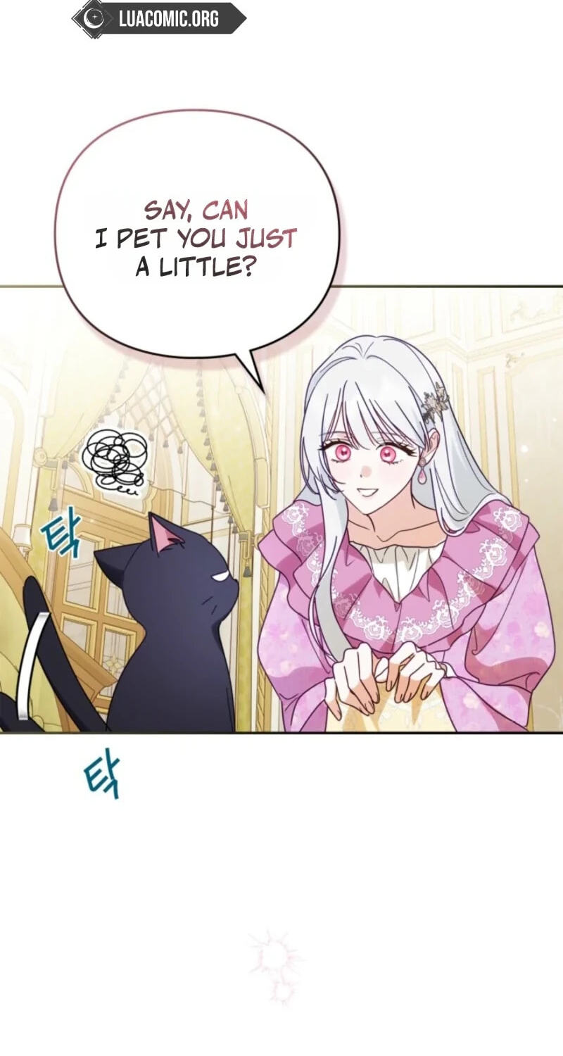 The Search for the Duchess's Husband Chapter 33 page 84 - 