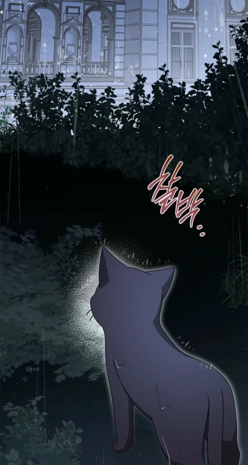 The Search for the Duchess's Husband Chapter 34 page 63 - 