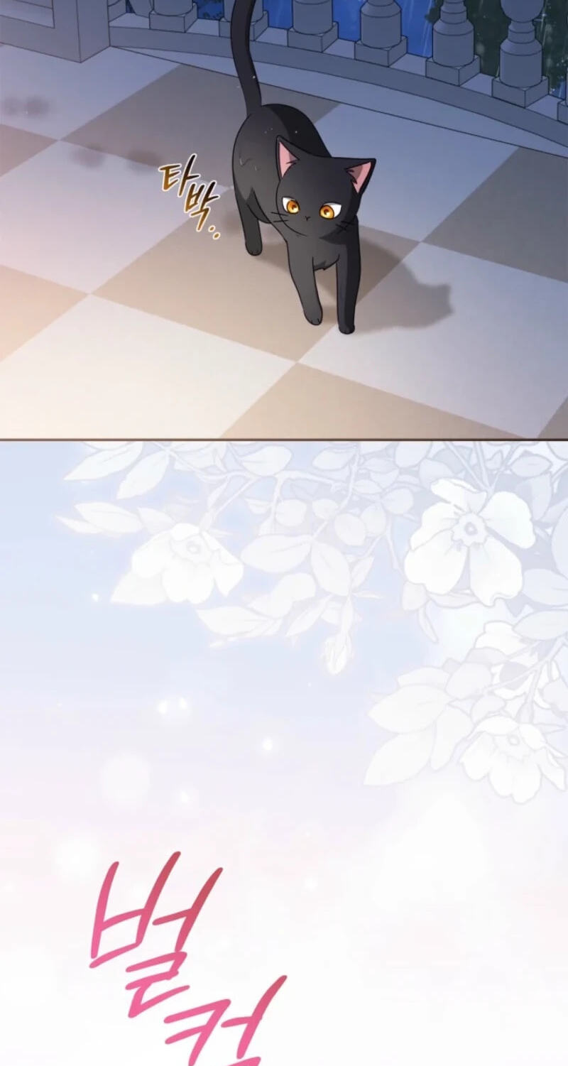 The Search for the Duchess's Husband Chapter 34 page 65 - 