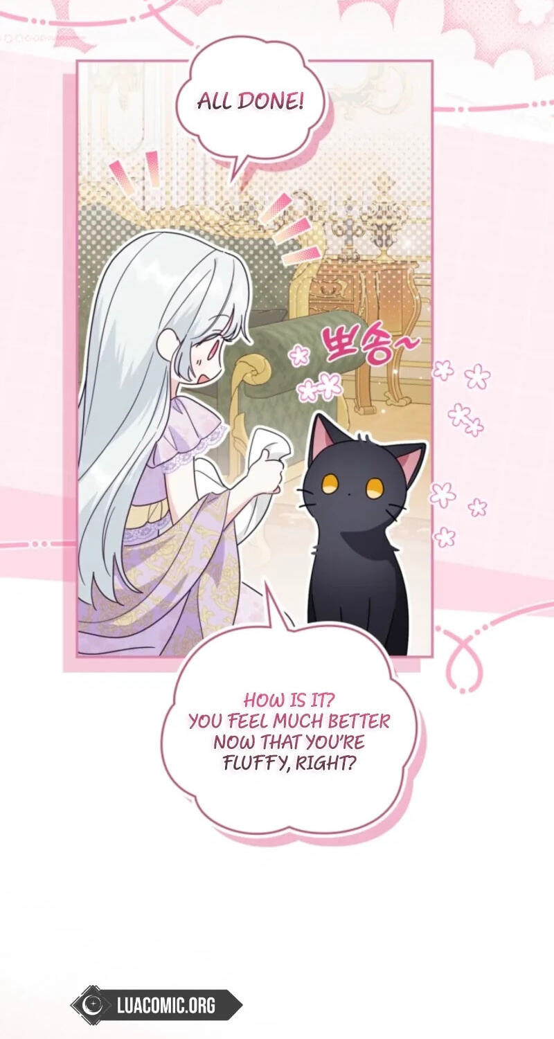 The Search for the Duchess's Husband Chapter 34 page 68 - 