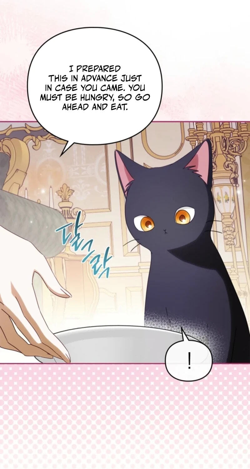 The Search for the Duchess's Husband Chapter 34 page 69 - 