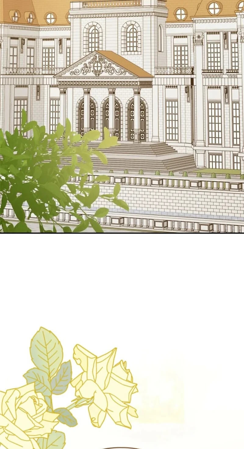 The Search for the Duchess's Husband Chapter 36 page 18 - 
