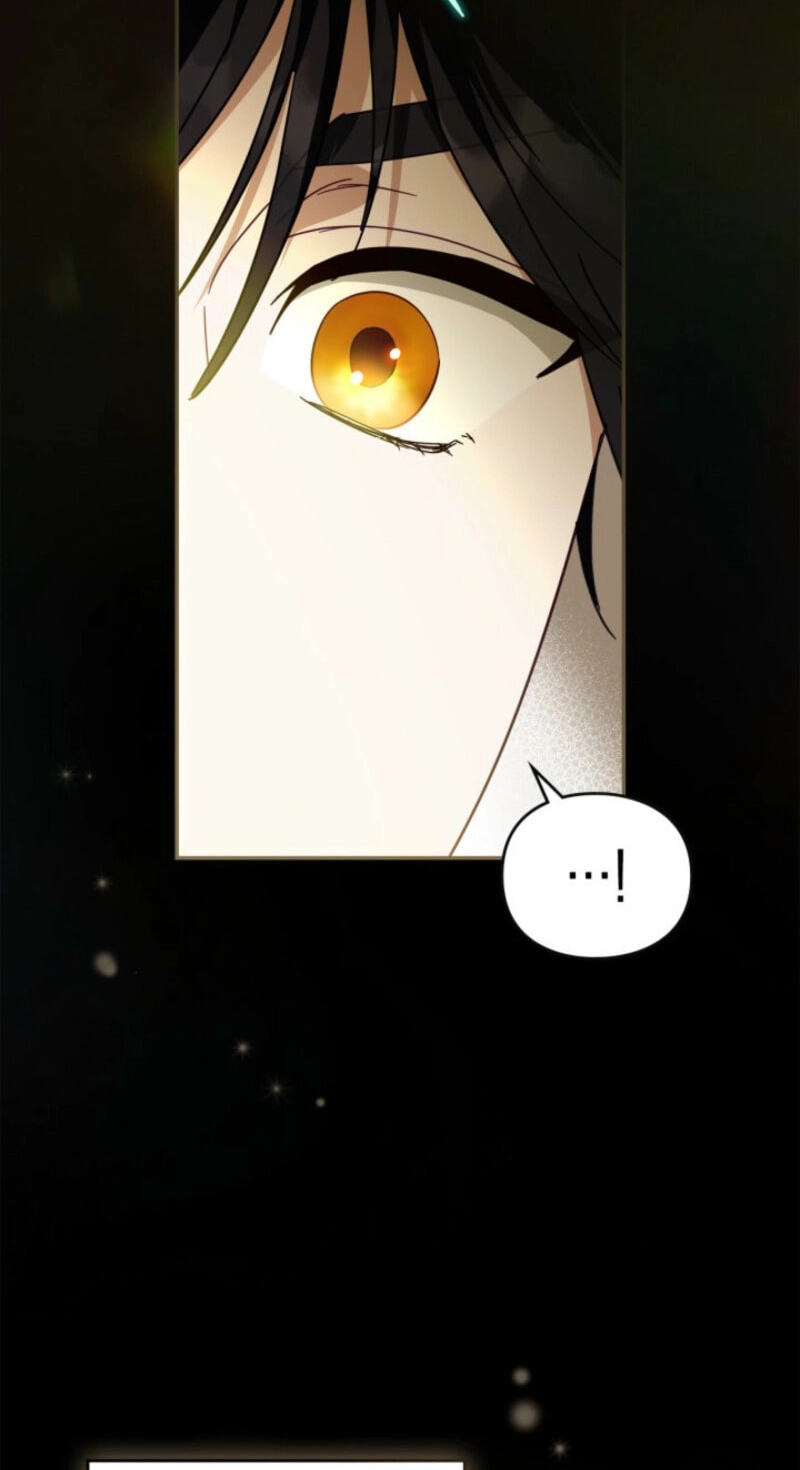 The Search for the Duchess's Husband Chapter 8 page 78 - 