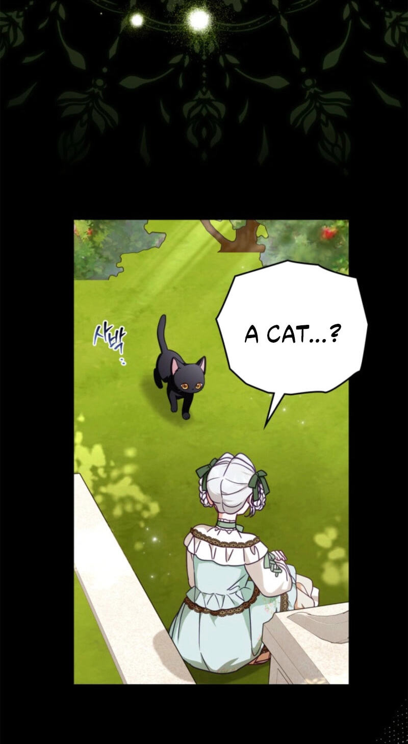 The Search for the Duchess's Husband Chapter 8 page 10 - 