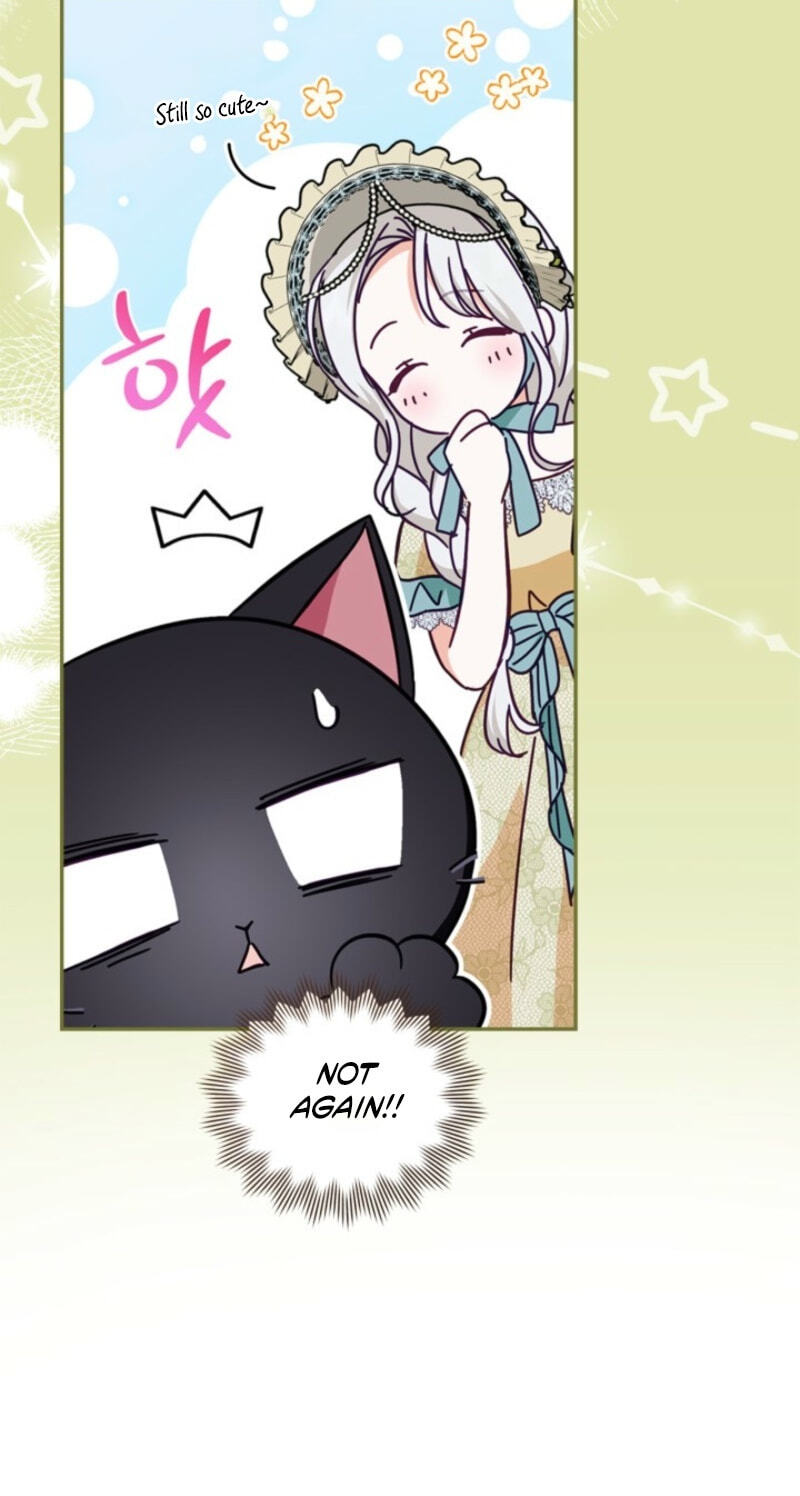 The Search for the Duchess's Husband Chapter 9 page 41 - 