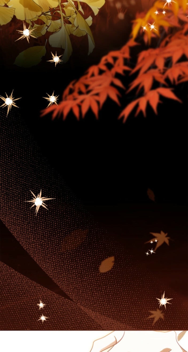 The Search for the Duchess's Husband Chapter 9 page 45 - 