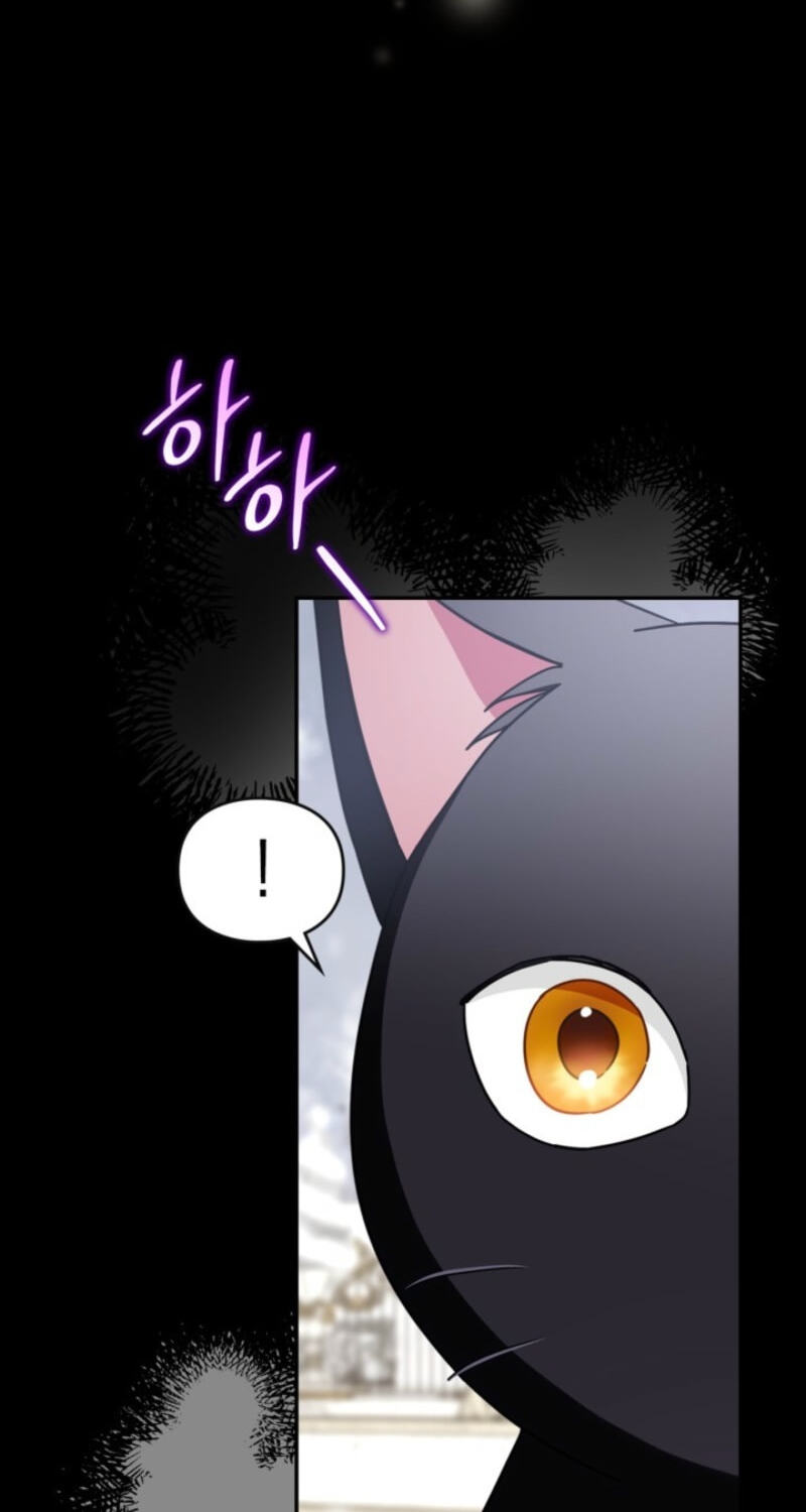 The Search for the Duchess's Husband Chapter 9 page 53 - 