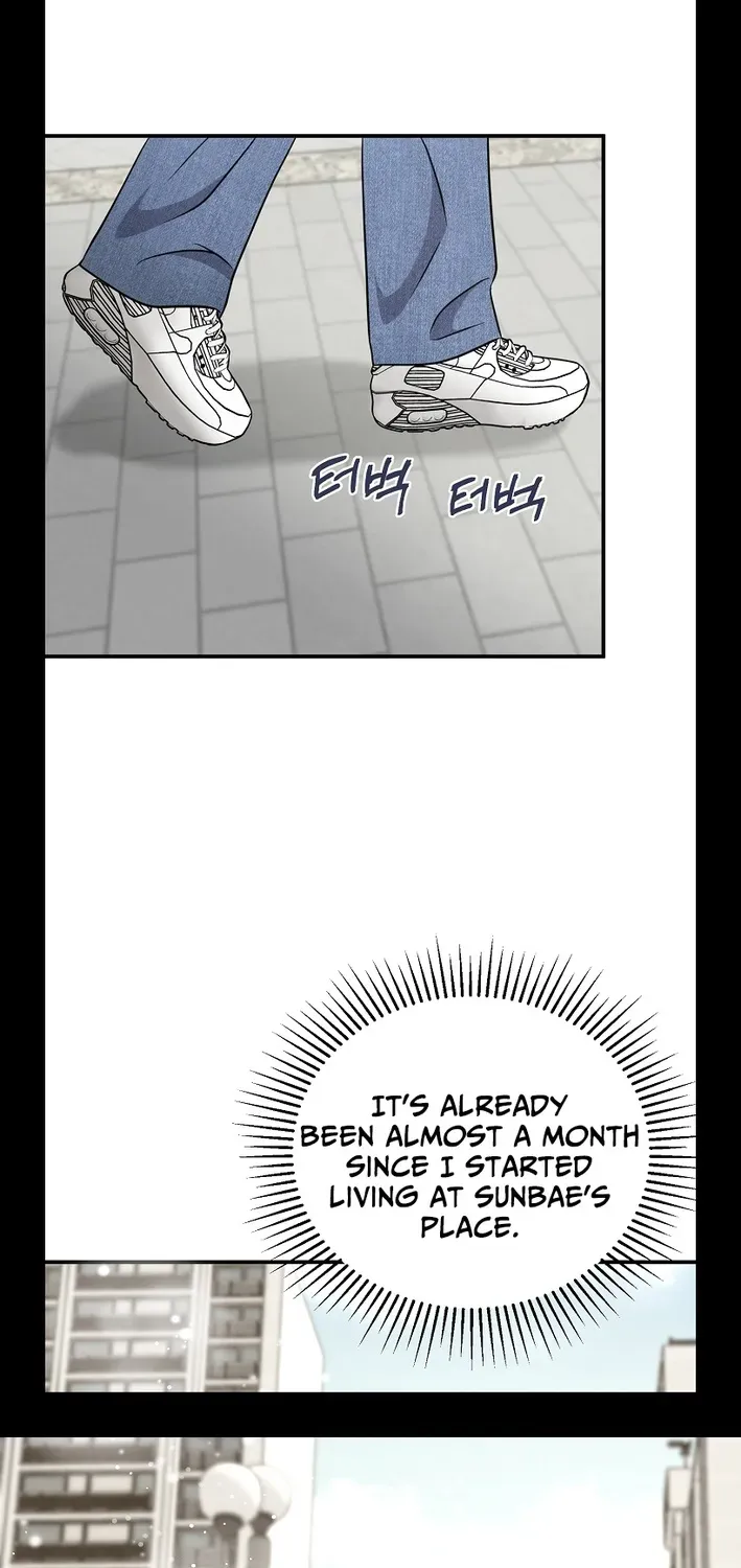 The Second Proposal Is Sweet Chapter 14 page 71 - 