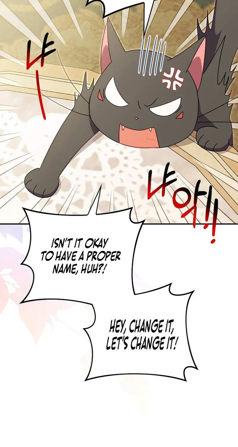 The secrets of the lovely duchess Chapter 10 page 38 - 