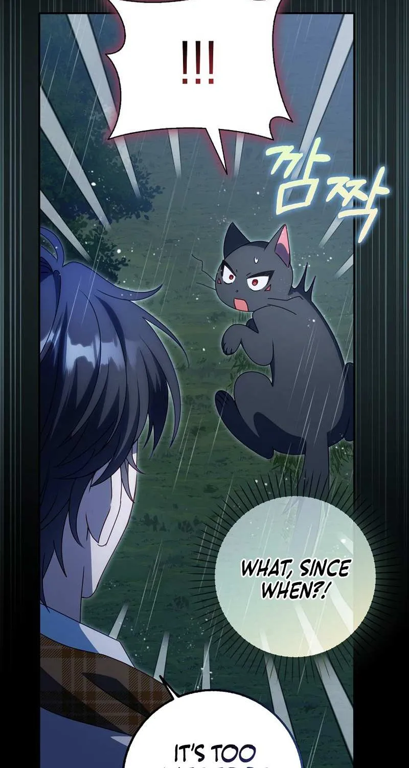 The secrets of the lovely duchess Chapter 10 page 45 - 