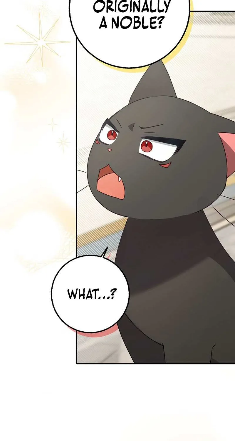 The secrets of the lovely duchess Chapter 11 page 13 - 