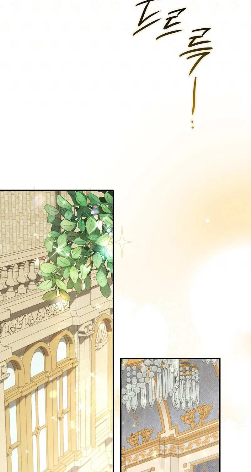 The secrets of the lovely duchess Chapter 11 page 24 - 