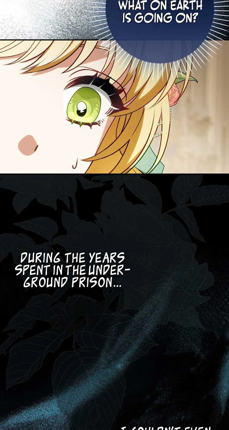 The secrets of the lovely duchess Chapter 12 page 29 - 