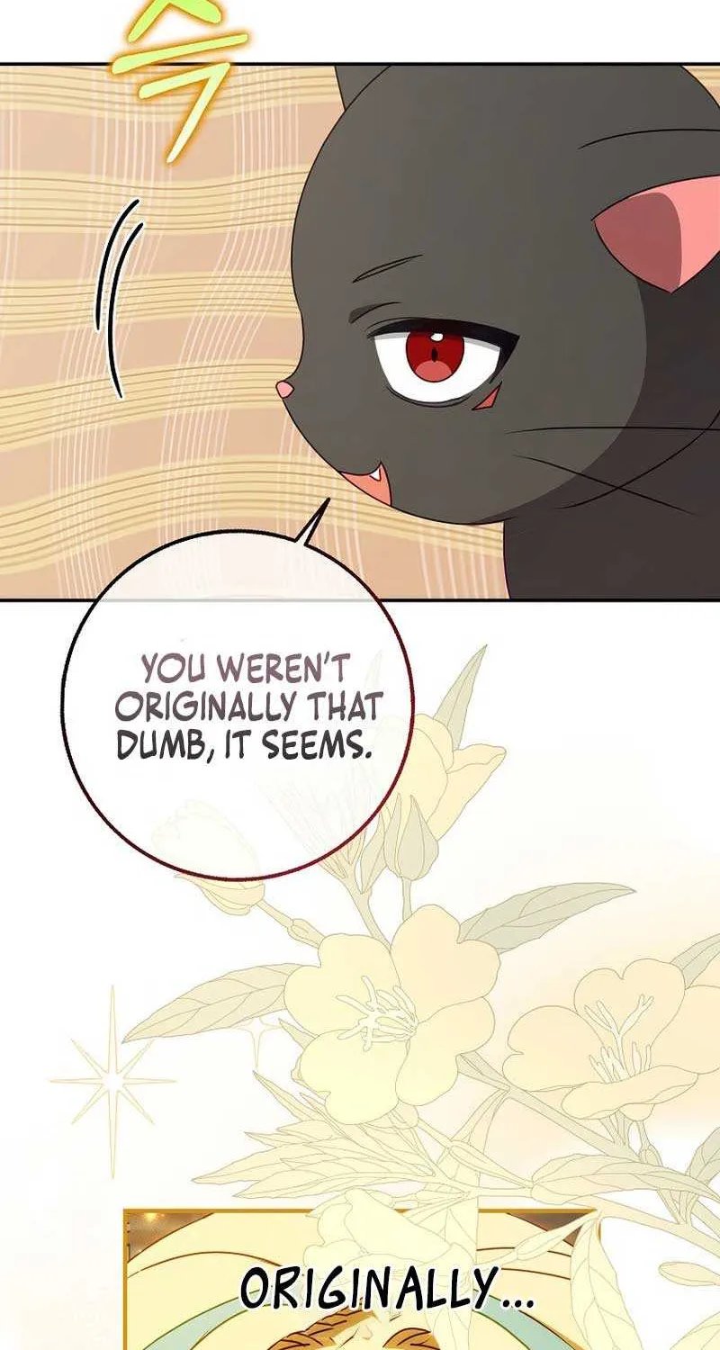 The secrets of the lovely duchess Chapter 12 page 34 - 