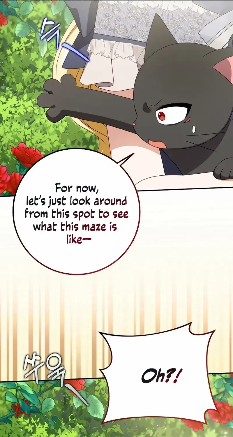 The secrets of the lovely duchess Chapter 18 page 36 - 