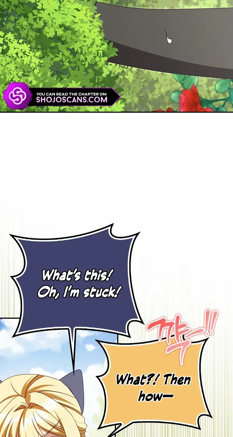 The secrets of the lovely duchess Chapter 18 page 37 - 