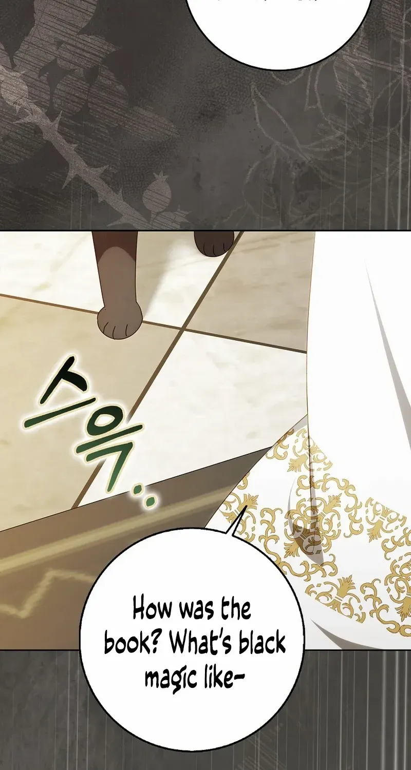 The secrets of the lovely duchess Chapter 28 page 9 - 