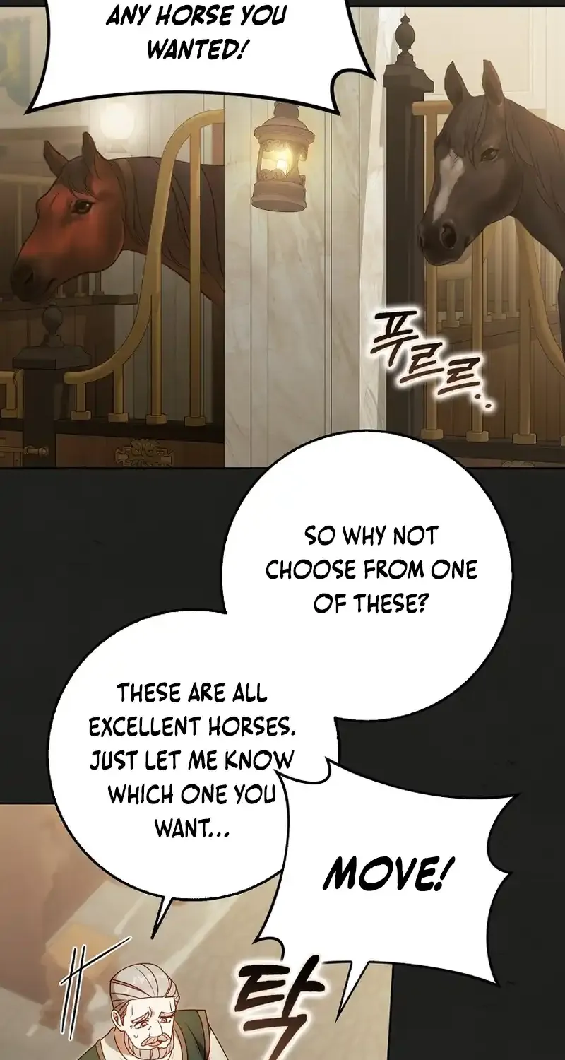 The secrets of the lovely duchess Chapter 30 page 7 - 