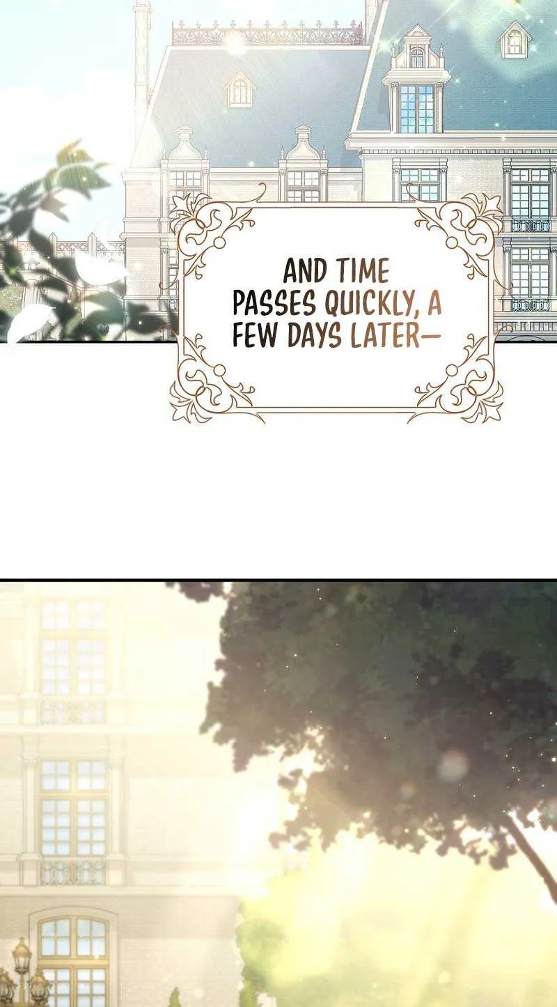 The secrets of the lovely duchess Chapter 32 page 70 - 
