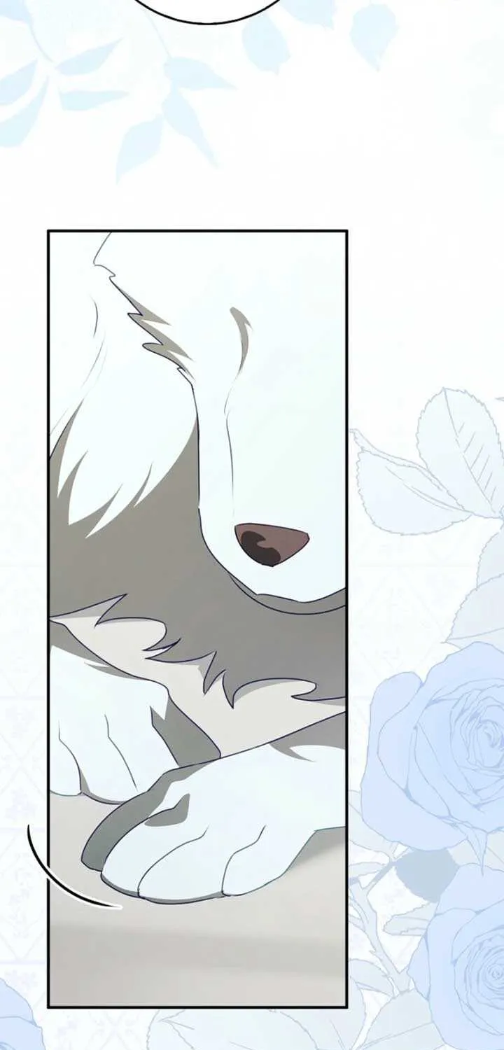 The secrets of the lovely duchess Chapter 41 page 61 - 